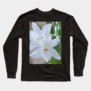 Paperwhites Long Sleeve T-Shirt